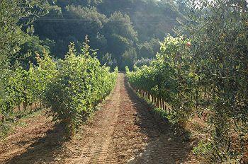 Podere Fontecastello Montepulciano Stazione